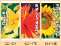 ISO14001�����󥷡���